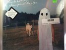 Phoebe Bridgers - Stranger In The Alps LP NEW