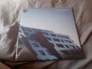The Brian Jonestown Massacre Vinyl