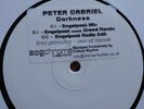 Peter Gabriel Darkness 12