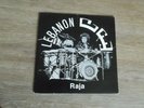 RAJA Lebanon LP 1980 Arabic RARE CULT Private Lebanese groove Zahr Rec ORIG mp3