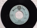 northern soul SELECTIVE SERVICE Shake/Green OnionsMAIN LINE 1363