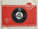 Elvis 7