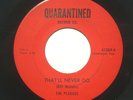 THE PLAGUES Badlands/That’ll Never Do 7” 45 Quarantined 1965 Michigan garage