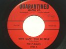 THE PLAGUES Why Can’t You Be True/Through This World 7