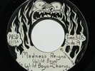 WILD BOYS Madness Reigns 7” 45 1973 private press Michigan garage psych rock