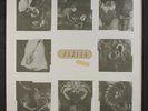 PIXIES: Live LP (light-weight textured cover) Rock & Pop