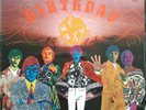 The Association / Birthday uk 1968 1e press ws 1733 very good+ lp vinyl