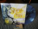 stick to your guns Comes from the heart colored have heart sxe Hardcore Punk