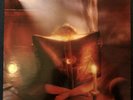 Andreas Vollenweider 'Book Of Roses' Rare Holland LP