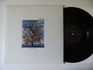 TALK TALK - SPIRIT OF EDEN - VINYL LP NL 1. PRESS 1988 DMM w/ I BELIEVE IN YOU