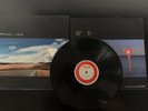 Yield [LP] by Pearl Jam (Vinyl, Feb-1998, Epic USA) 1st Press Die Cut