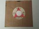 THE FRENCH FRIES 45 RECORD SLY STONE HEAVY DUTY FUNK  RARE