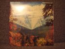 Tame Impala - Innerspeaker: 45 RPM Vinyl 2xLP ORIGINAL Australian Pressing