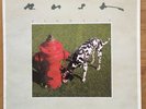 Rush - Signals Vinyl LP