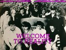 ADOLESCENTS - WELCOME TO REALITY 1st pressing NM 1981 hardcore punk vinyl 7