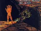 Big Sleep-Bluebell Wood-'71 UK Prog Rock-new LP