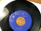 THE ABBEY 45 The Last Song / Right Back In Your Arms TEENER on ECHO