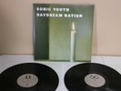 Sonic Youth Daydream Nation Vinyl 2 LP Remastered 2014 w /Poster, Teenage Riot