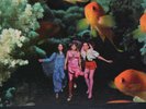 The Roches LP's Nurds, another world, Keep on Doing, Seductive Reasoning + More