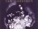 Van Morrison - Enlightenment, LP, Album, (Vinyl)