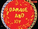 Jesus and Mary Chain - Damage and Joy - LP Vinyl - New