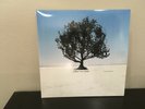 Shiny Toy Guns We Are Pilots vinyl LP 2006 Universal Motown with an extra single