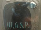 W.A.S.P. ?– Black Forever / Goodbye America, Picture 7