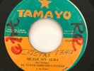 EL NUEVO LORENZO CASTILLO - Mujer Sin Alma / CUMBIA PANAMA 45