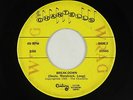 Garage 45 - Chantells - Break-Down - Century - mp3