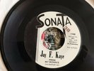 Jay F. Kaye RARE R&B Soul My Bonnie/Rockin’ Robin Sonata Records 1962 Vg+