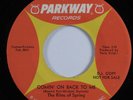 Garage Psych 45 RITES OF SPRING Comin' on Back to Me PARKWAY promo HEAR