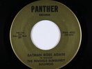 Garage Psych 45 - Invisible Burgundy Bullfrog - Batman Rides - Panther - VG+ mp3