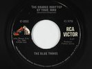 Garage Psych 45 - Blue Things - Orange Rooftop Of Your Mind - RCA Victor VG+ mp3
