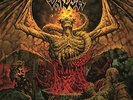 VADER-SOLITUDE IN MADNESS (MUSTARD VINYL) (COLV) (LTD) (US IMPORT) VINYL LP NEW