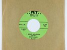 R&B 45 - Bobby Adams - I Want My Lovin' - Pet - VG++ mp3