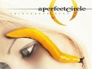 A PERFECT CIRCLE - THIRTEENTH STEP *BRAND NEW DOUBLE RECORD LP VINYL