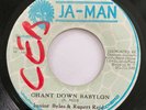 JUNIOR BYLES RUPERT REID Chant Down Babylon JA-MAN 45 Roots Reggae HEAR