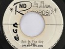 THE SKATALITES DELROY WILSON Black Sunday / Spit In The Sky ND RECORDS 45 HEAR