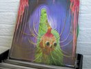THE FLAMING LIPS 1st EP LP 2013 green vinyl SIGNED/AUTOGRAPHED NEW