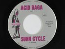 Psych Fuzz Inst. 45 - Sunn Cycle - Acid Raga - Spectrum - mp3