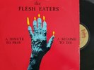 RARE 1981 THE FLESH EATERS A MINUTE TO PRAY LP 1ST PRESS RUBY X PUNK KBD ROOTS
