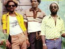 VICEROYS, The - We Must Unite - Vinyl (LP)