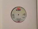 Chubby Checker - Reggae My Way / Gypsy [BTC 2040] 7