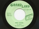 MINT-, 45RPM_R&B, SOUL_THE PEOPLE'S CHOICE - HOT WIRE & EASE THE PAIN_GRAND LAND