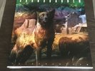 Soundgarden Telephantasm Coloured Vinyl Record Box Set