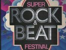LP-BOX Buddy Holly, Beach Boys, Gary Glitter... Super Rock & Beat Festival