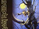 IRON MAIDEN - Fear Of The Dark (reissue) - Vinyl (2xLP)