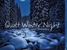 HOFF ENSEMBLE-Quiet Winter Night - An Acoustic Jazz Proj (UK IMPORT) Blu-Ray NEW