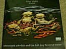LIMP BIZKIT-Chocolate Starfish and the Hot Dog Flavored Water RARE PROMO 2xLP