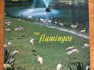 THE FLAMINGOS   SELF-TITLED LP  CHECKER RECORDS 1433 MONO Black & Silver DOO WOP